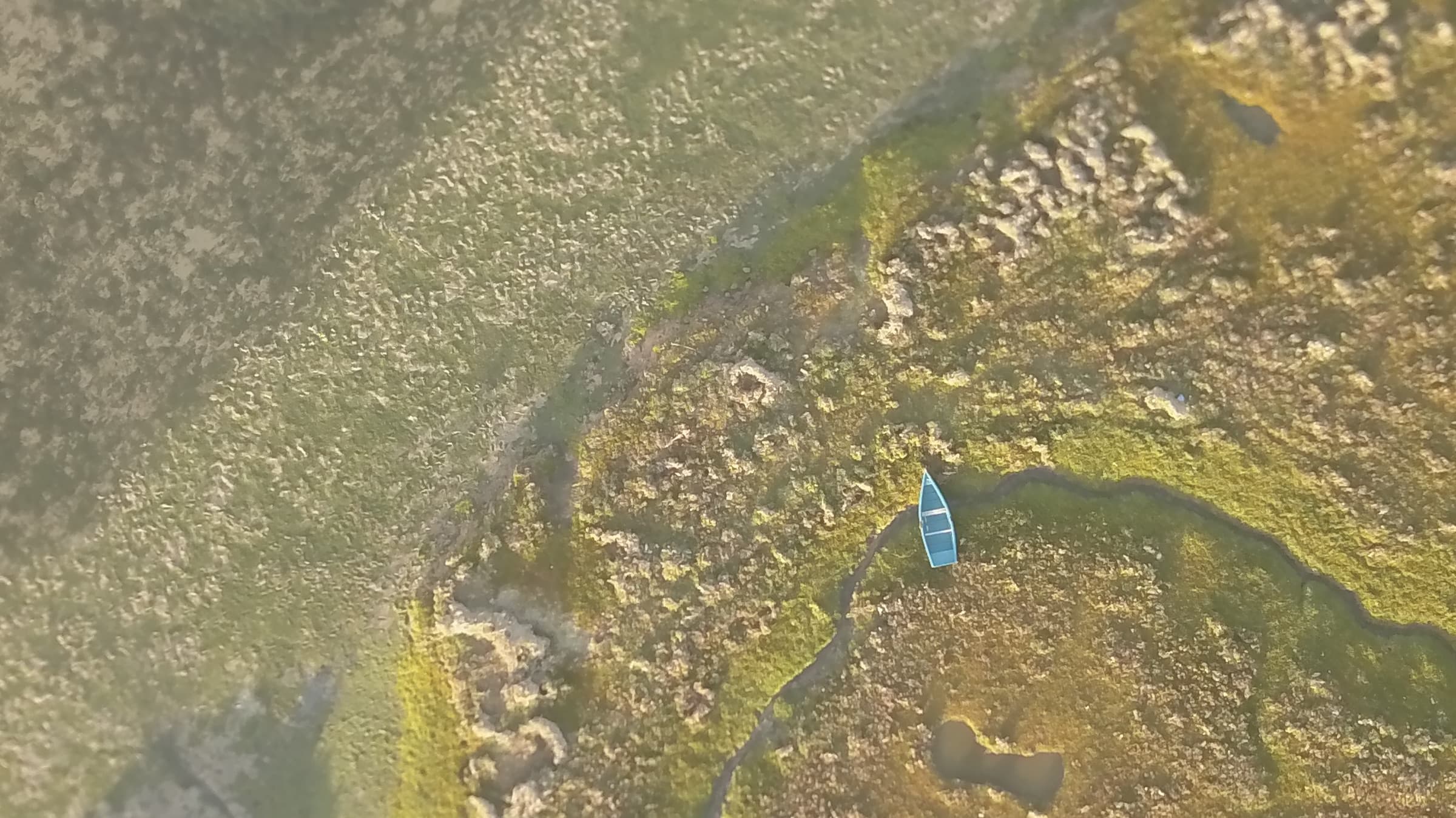 Vue aérienne d'un flouka bleu sur la lagune de Oualidia